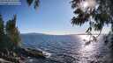 ./images/koeye/fitz-hugh/20250608/fitz-hugh20250608_183510M.jpg