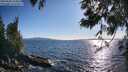 ./images/koeye/fitz-hugh/20250608/fitz-hugh20250608_184011M.jpg