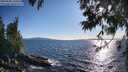 ./images/koeye/fitz-hugh/20250608/fitz-hugh20250608_185011M.jpg