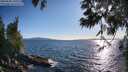 ./images/koeye/fitz-hugh/20250608/fitz-hugh20250608_185509M.jpg