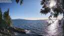 ./images/koeye/fitz-hugh/20250608/fitz-hugh20250608_190008M.jpg