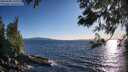 ./images/koeye/fitz-hugh/20250608/fitz-hugh20250608_193508M.jpg