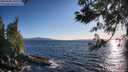 ./images/koeye/fitz-hugh/20250608/fitz-hugh20250608_195008M.jpg