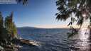 ./images/koeye/fitz-hugh/20250608/fitz-hugh20250608_200509M.jpg