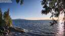 ./images/koeye/fitz-hugh/20250608/fitz-hugh20250608_201509M.jpg