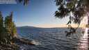 ./images/koeye/fitz-hugh/20250608/fitz-hugh20250608_202509M.jpg