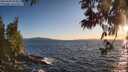 ./images/koeye/fitz-hugh/20250608/fitz-hugh20250608_204009M.jpg