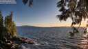 ./images/koeye/fitz-hugh/20250608/fitz-hugh20250608_204508M.jpg