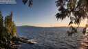 ./images/koeye/fitz-hugh/20250608/fitz-hugh20250608_205009M.jpg