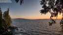 ./images/koeye/fitz-hugh/20250608/fitz-hugh20250608_213509M.jpg