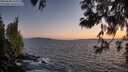 ./images/koeye/fitz-hugh/20250608/fitz-hugh20250608_215508M.jpg