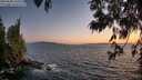 ./images/koeye/fitz-hugh/20250608/fitz-hugh20250608_220509M.jpg