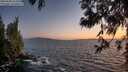 ./images/koeye/fitz-hugh/20250608/fitz-hugh20250608_221007M.jpg