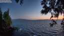 ./images/koeye/fitz-hugh/20250608/fitz-hugh20250608_223009M.jpg