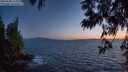 ./images/koeye/fitz-hugh/20250608/fitz-hugh20250608_223508M.jpg