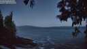 ./images/koeye/fitz-hugh/20250609/fitz-hugh20250609_042009M.jpg