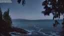 ./images/koeye/fitz-hugh/20250609/fitz-hugh20250609_042509M.jpg