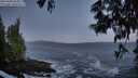 ./images/koeye/fitz-hugh/20250609/fitz-hugh20250609_044009M.jpg