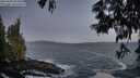 ./images/koeye/fitz-hugh/20250609/fitz-hugh20250609_044508M.jpg