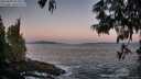 ./images/koeye/fitz-hugh/20250609/fitz-hugh20250609_051009M.jpg