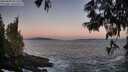 ./images/koeye/fitz-hugh/20250609/fitz-hugh20250609_051509M.jpg