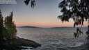 ./images/koeye/fitz-hugh/20250609/fitz-hugh20250609_052009M.jpg
