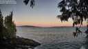 ./images/koeye/fitz-hugh/20250609/fitz-hugh20250609_052508M.jpg