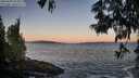 ./images/koeye/fitz-hugh/20250609/fitz-hugh20250609_053009M.jpg