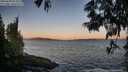 ./images/koeye/fitz-hugh/20250609/fitz-hugh20250609_053509M.jpg