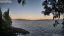 ./images/koeye/fitz-hugh/20250609/fitz-hugh20250609_054009M.jpg