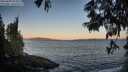 ./images/koeye/fitz-hugh/20250609/fitz-hugh20250609_054509M.jpg