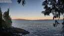./images/koeye/fitz-hugh/20250609/fitz-hugh20250609_055009M.jpg