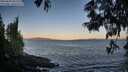./images/koeye/fitz-hugh/20250609/fitz-hugh20250609_055509M.jpg