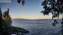 ./images/koeye/fitz-hugh/20250609/fitz-hugh20250609_060011M.jpg