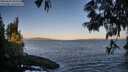 ./images/koeye/fitz-hugh/20250609/fitz-hugh20250609_060510M.jpg