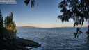 ./images/koeye/fitz-hugh/20250609/fitz-hugh20250609_061510M.jpg