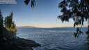 ./images/koeye/fitz-hugh/20250609/fitz-hugh20250609_062510M.jpg