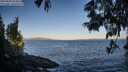./images/koeye/fitz-hugh/20250609/fitz-hugh20250609_063009M.jpg