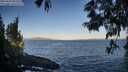 ./images/koeye/fitz-hugh/20250609/fitz-hugh20250609_063509M.jpg