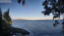 ./images/koeye/fitz-hugh/20250609/fitz-hugh20250609_064009M.jpg