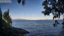 ./images/koeye/fitz-hugh/20250609/fitz-hugh20250609_065510M.jpg