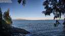 ./images/koeye/fitz-hugh/20250609/fitz-hugh20250609_070509M.jpg