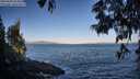 ./images/koeye/fitz-hugh/20250609/fitz-hugh20250609_071011M.jpg