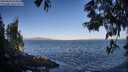 ./images/koeye/fitz-hugh/20250609/fitz-hugh20250609_072011M.jpg