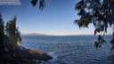 ./images/koeye/fitz-hugh/20250609/fitz-hugh20250609_072510M.jpg