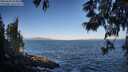 ./images/koeye/fitz-hugh/20250609/fitz-hugh20250609_073011M.jpg