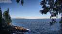 ./images/koeye/fitz-hugh/20250609/fitz-hugh20250609_073507M.jpg