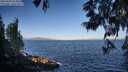 ./images/koeye/fitz-hugh/20250609/fitz-hugh20250609_074009M.jpg