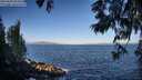 ./images/koeye/fitz-hugh/20250609/fitz-hugh20250609_074509M.jpg