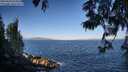 ./images/koeye/fitz-hugh/20250609/fitz-hugh20250609_075011M.jpg